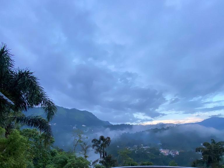 Bed and Breakfast Munnar Blue Mist Экстерьер фото
