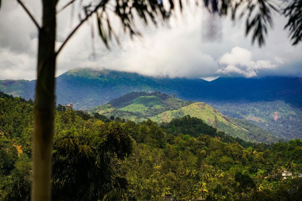 Bed and Breakfast Munnar Blue Mist Экстерьер фото