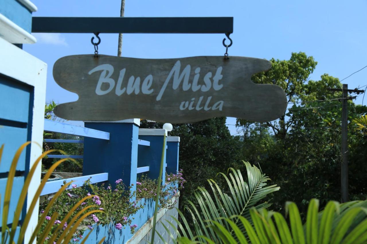 Bed and Breakfast Munnar Blue Mist Экстерьер фото
